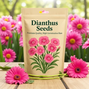 DIANTHUS  DIANTHUS