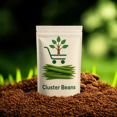 CLSUTER BEANS  GWAR PHALI