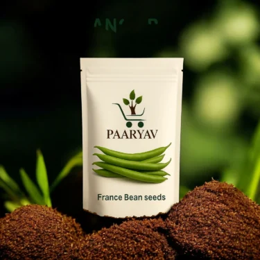 FRANCE BEAN SEM KI PHALI