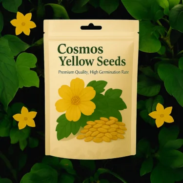 COSMOS YELLOW  COSMOS YELLOW
