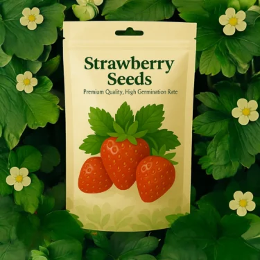 STRAWBERRY  STRAWBERRY