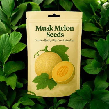 MUSK MELON  KHARBOOJ