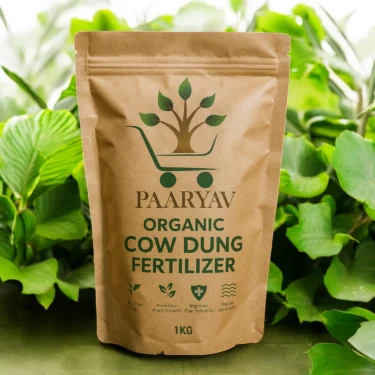 COW DUNG