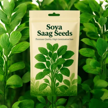 DILL LEAVES  SOYA SAAG