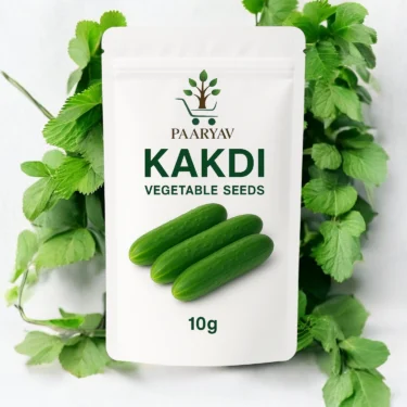 ARMENIAN CUCUMBER  KAKDI