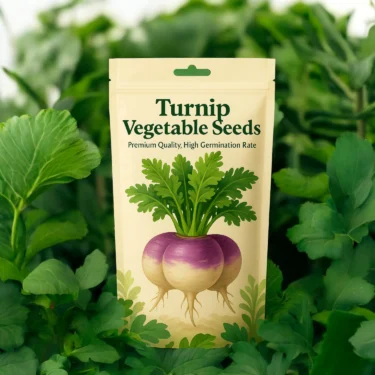 TURNIP SHALGAM